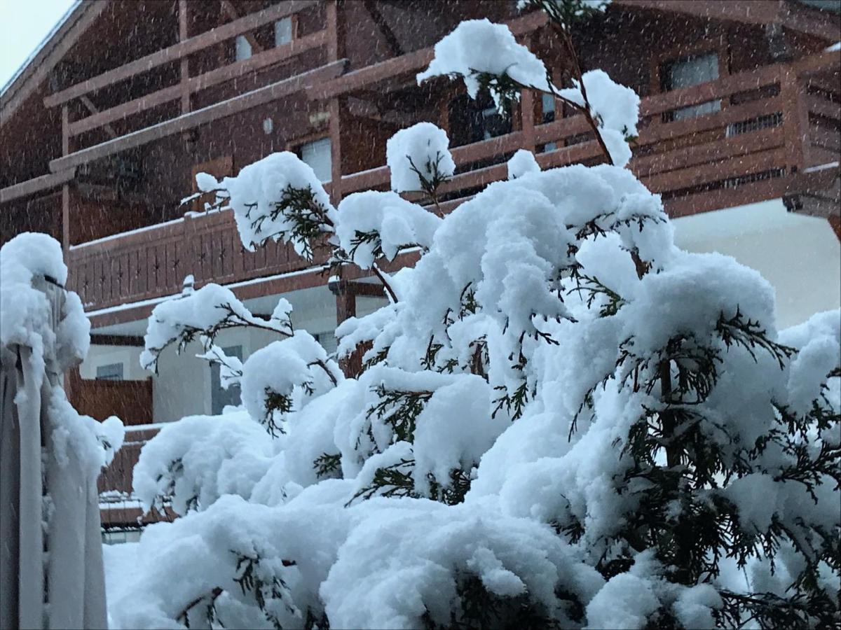 Le Hameau Des Neiges Apartment Praz-sur-Arly Ngoại thất bức ảnh